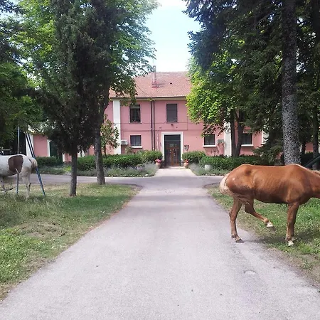 Alloggio per agriturismo Delle Rose