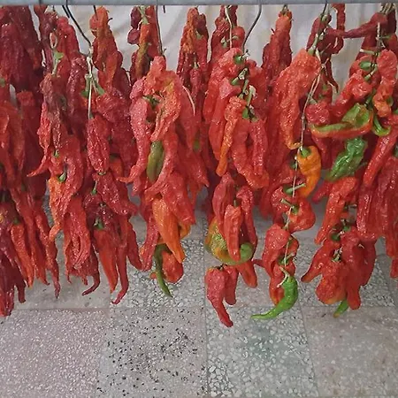 Alloggio per agriturismo Delle Rose *