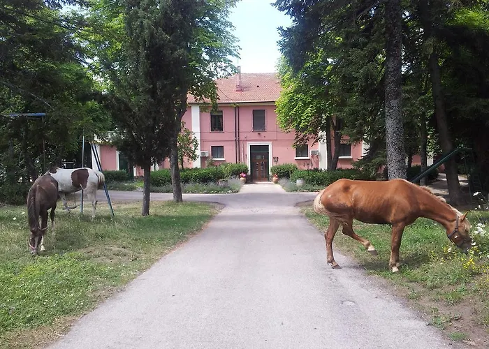 Çiftlik konaklama Delle Rose